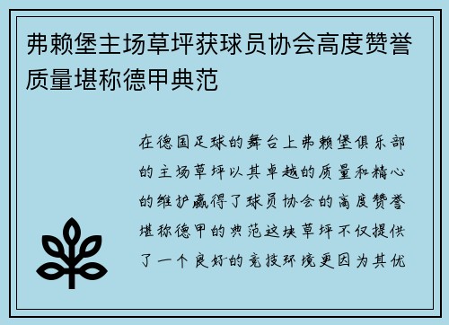 弗赖堡主场草坪获球员协会高度赞誉质量堪称德甲典范